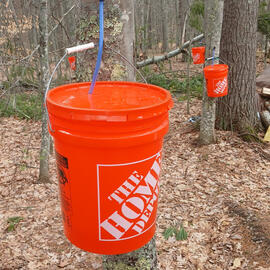 small-batch maple syrup boiled on a filing cabinet